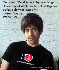 aaron swartz quote